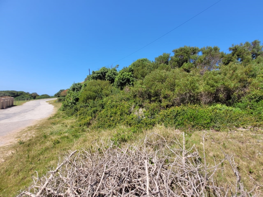 0 Bedroom Property for Sale in Paradise Beach Eastern Cape